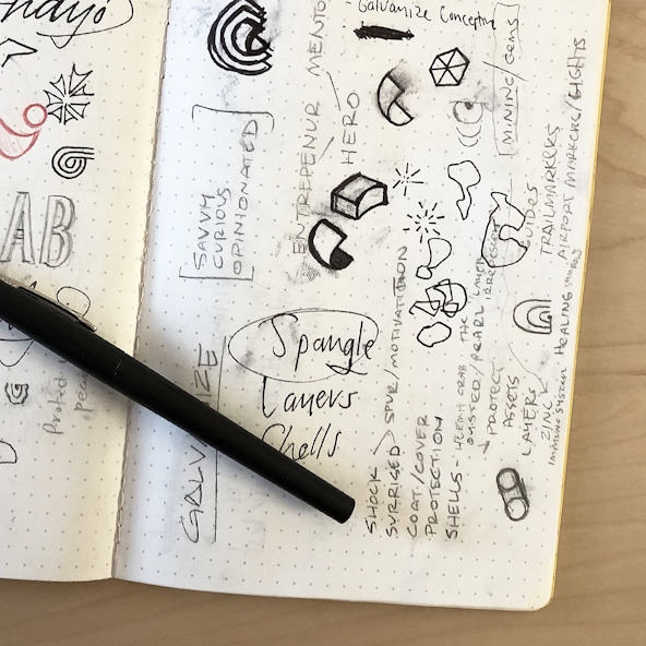 GAL Notebook