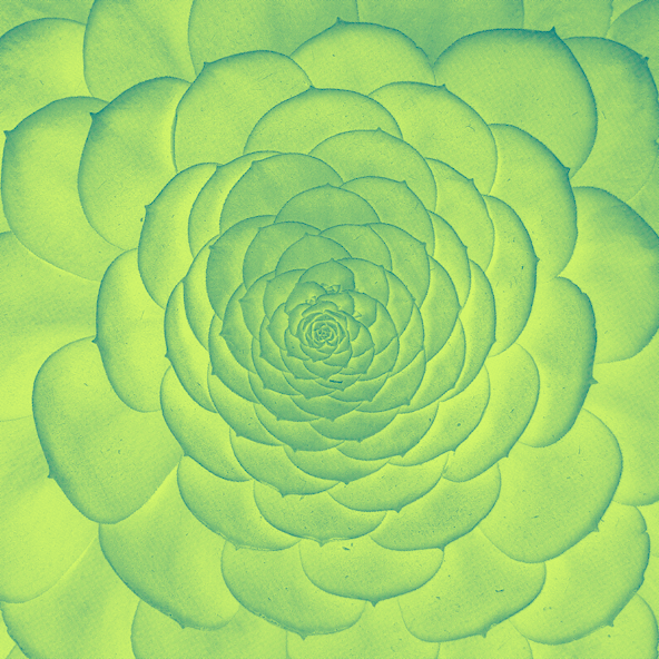 Nitrogen Fractal