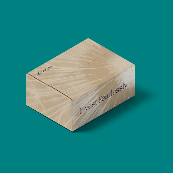 Nitrogen box2
