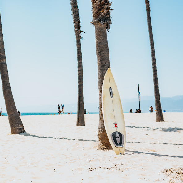 Surfboard